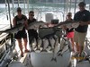 (06/14/2017) - Nice Striped Bass